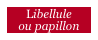 Libellule 
ou papillon